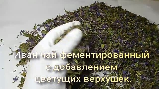 Иван чай ферментированный с добавлением цветущих верхушек. Семейный рецепт.