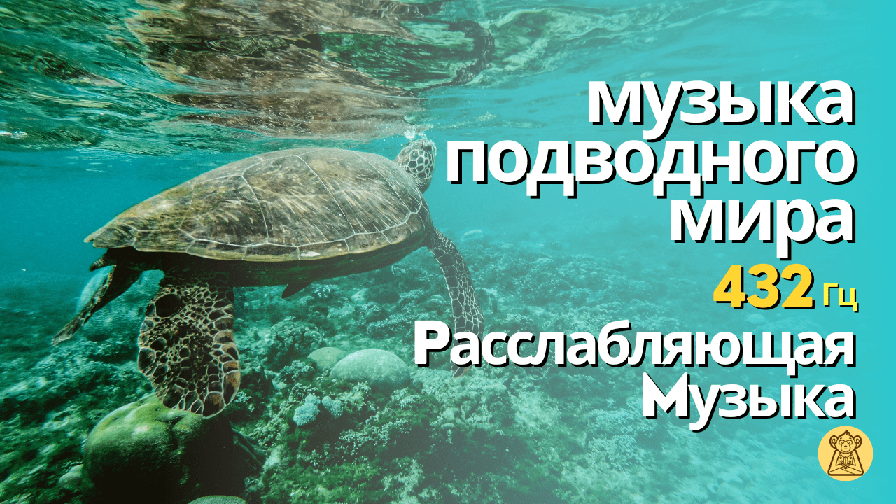 Музыка подводного мира. 432Гц. Расслабляющая музыка. Музыка для сна и йоги.