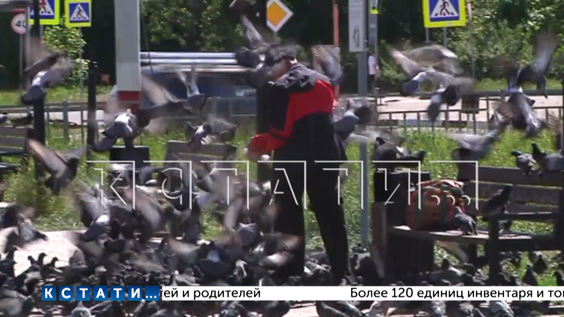 Любовью к птицам загадили центральную площадь в Дзержинске