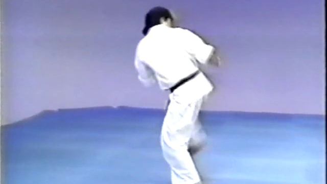 Ката Киокусинкай