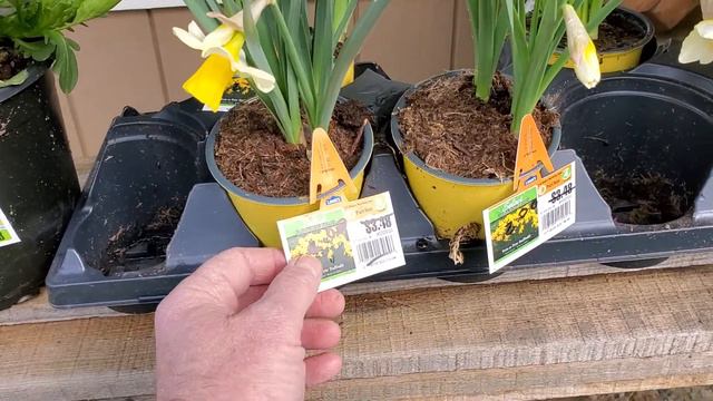 My new flower haul.
