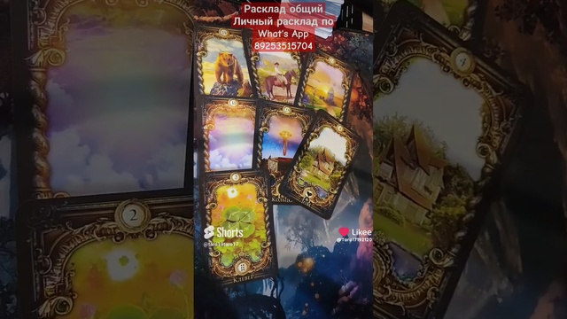 1000004491.mp4