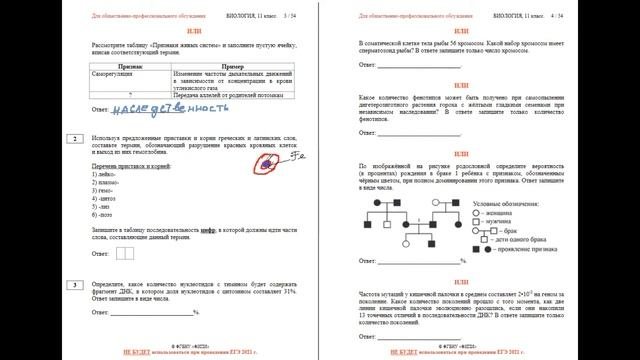 Разбор демоверсии варианта ЕГЭ по биологии 2022. Часть 1