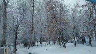 "Зимняя сказка" на улице