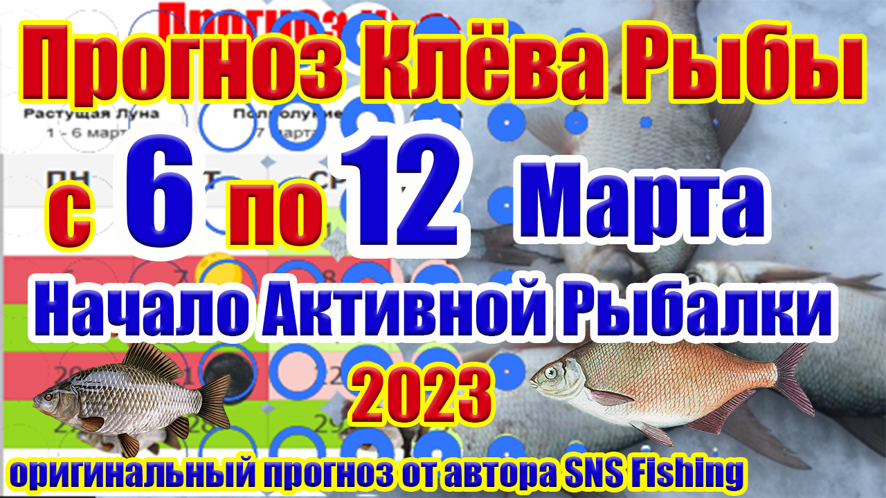 Прогноз клева рыбы на Эту неделю с 6 по 12 Марта Календарь рыбака на март Лунный прогноз клева
