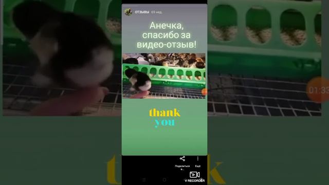 Отзыв о Дарьин двор Ульяновск Отзыв из Калининграда от Анны