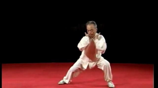 Ма Хун тайцзи Чэнь вторая форма паочуй / Ma Hong Chen Style Taijiquan Second Frame