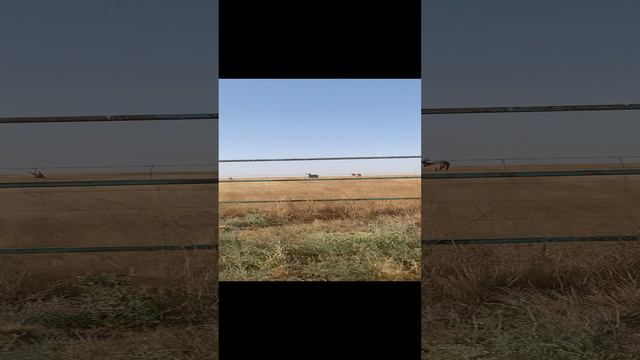 Едим дальше