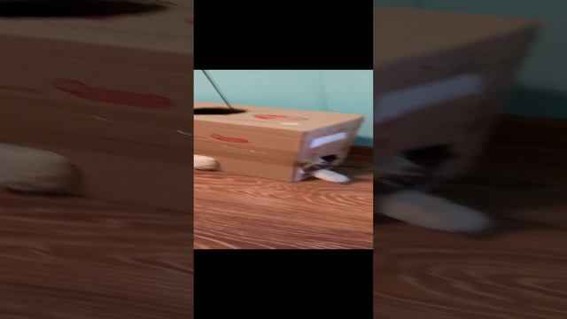 Любитель коробок