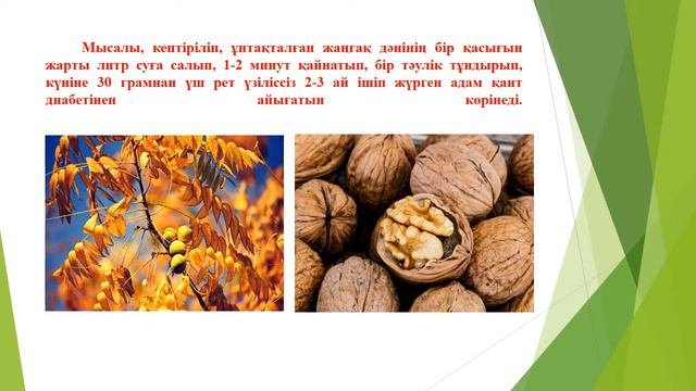 Жаңғақтың пайдасы