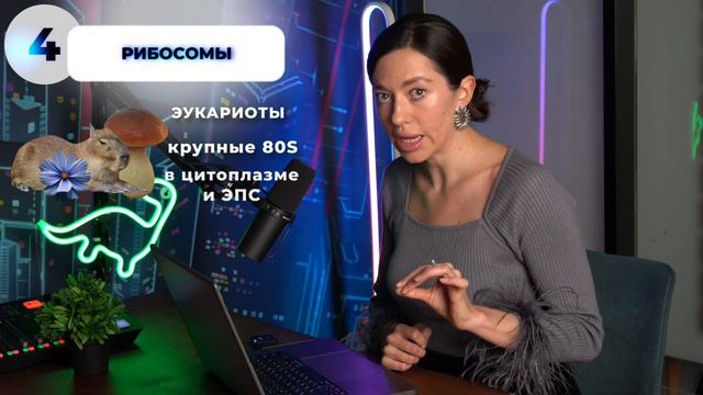 ЕГЭ и ОГЭ Биология. Быстро запоминаем все характеристики эукариот и прокариот за 5 минут