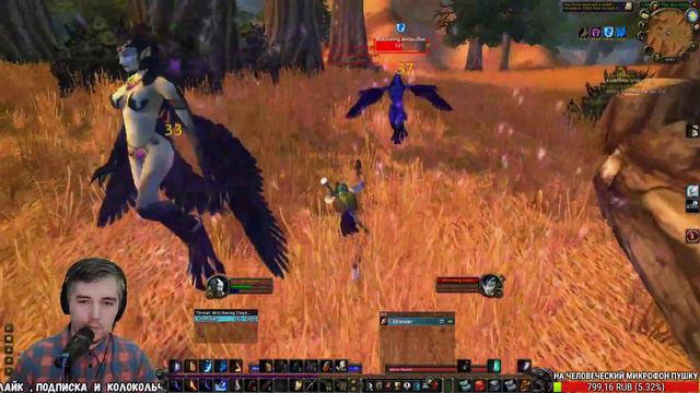 World of warcraft classic  WOW  . Прокачка мага  учимся аое - гринду   вов ванилла стрим 1-60