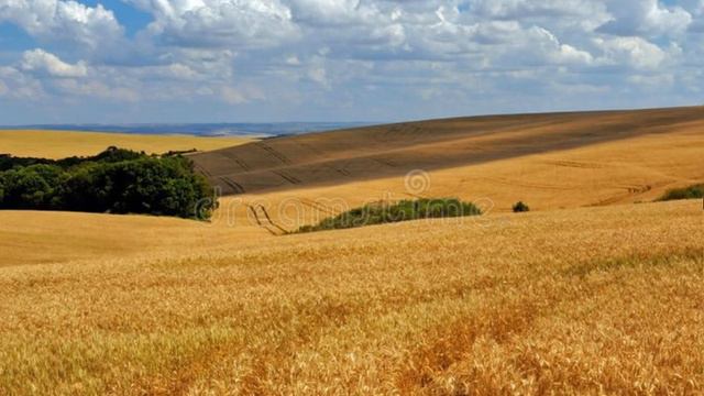 почему режим в северной кореи не так уж и плох?