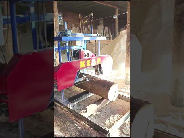 Пилорама Кедр 91 в работе. Видео от клиента. #ленточнаяпилорама #пилорама #пилорамакедр