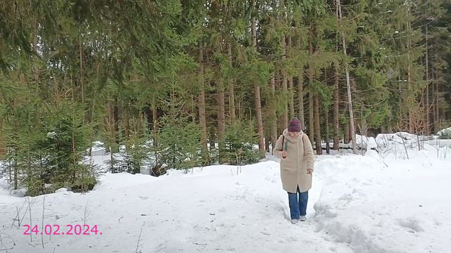 В ожидании Весны (24 февраля, 2024)