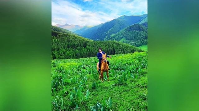 Вы все ещё не голосуете за Димаша? Тогда приходите к нам ❤️