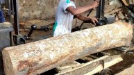 Tolak ditawar seharga 12 juta kayu langka digergaji sawmill