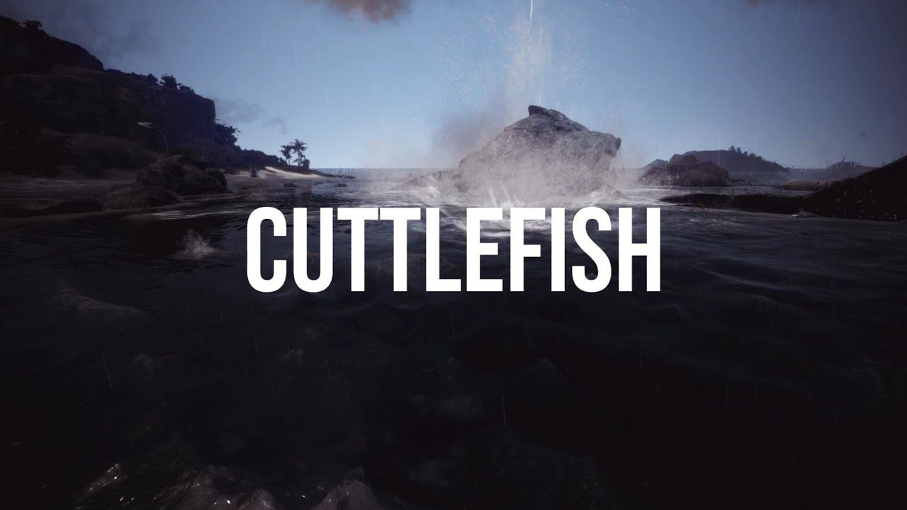 Cuttlefish