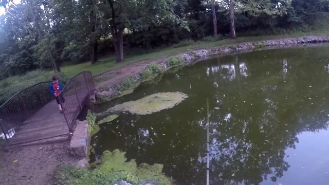 MULTIPLE Panfish Species w/ 1 Inch Berkley Gulp Minnows