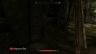 This better be important (Mercer Frey) - Skyrim