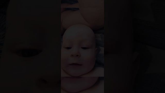 petal_20240717_113911.mp4