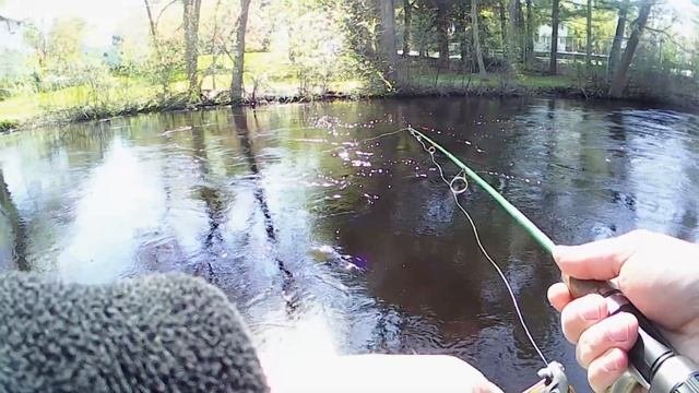 Trout Fishing With GULP! Minnows (Trout Cheat Code)