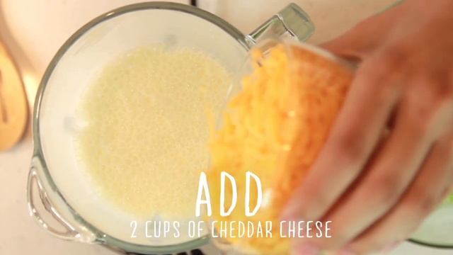 Oster® Exact Blend™ 300 Blender Cream of Broccoli Soup