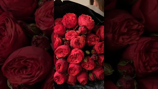 Авторский монобукет пионовидных красных роз «Red Piano»