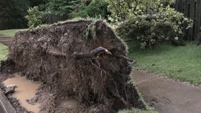 Thousands without power in St. Louis region as severe weather rolls through