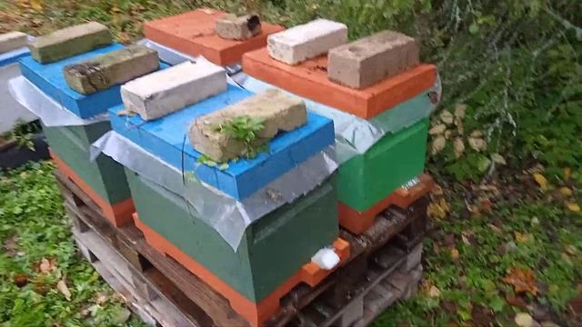 Готовим пчел к зимовке часть 2. Шестирамочные ульи ППУ