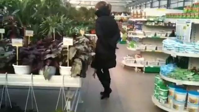 Цветочный магазин