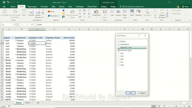 Slicer Excel Sheet