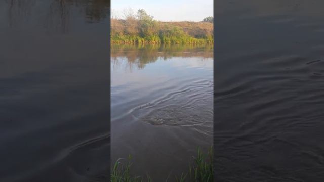 РЫБАЛКА. КОЧУБЕЙ 05.05.2017