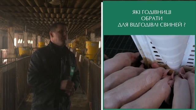 Яку обрати годівницю / Какую выбрать кормушку