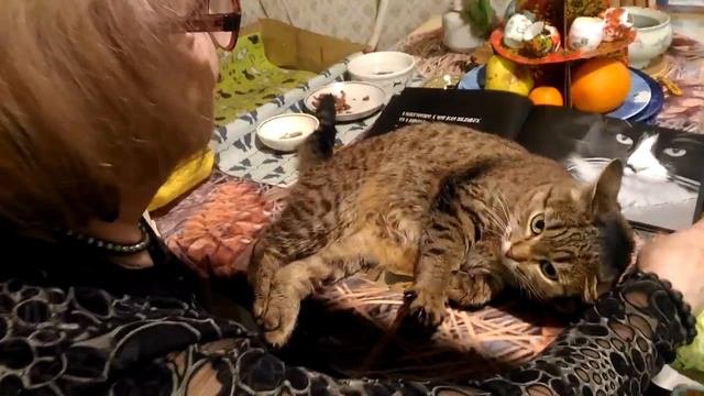 Нежности на столе.