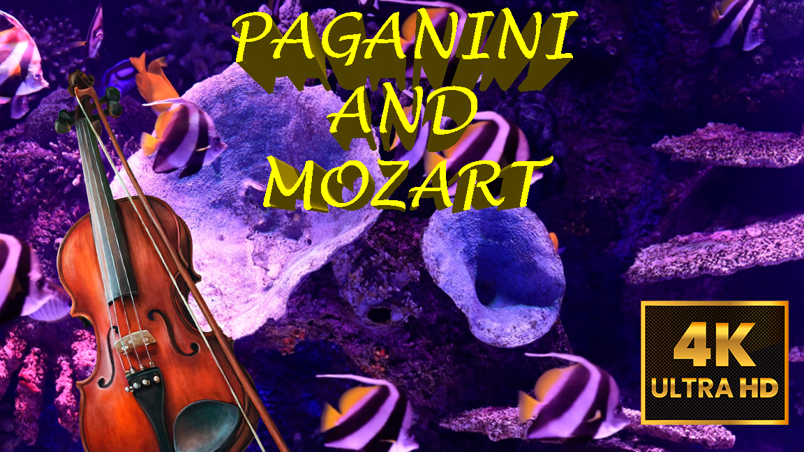 [4K HD] Классическая музыка Паганини и скрипка Моцарта