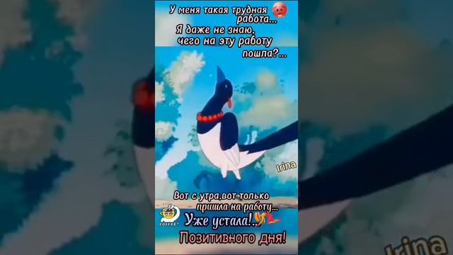 VID-20230718-WA0012.mp4