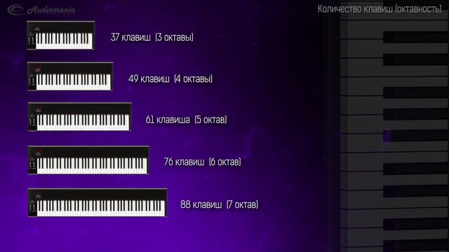 Как выбрать MIDI-клавиатуру?