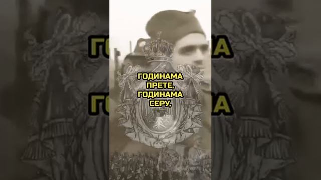 Српски официр о Европи.mp4