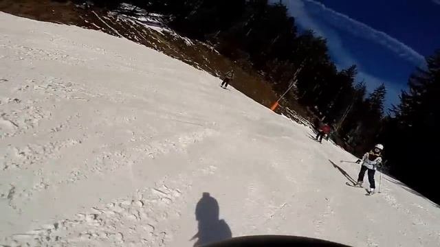 Ski In Seefeld, Tirol