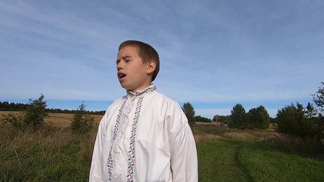 Дмитриев Николай, 13 лет, Н.М. Рубцов "Подорожники"