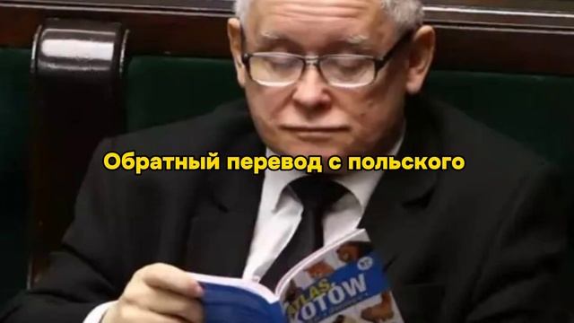 Обратные переводы Смешариков с нейросетью ElevenLabs | AI Translate