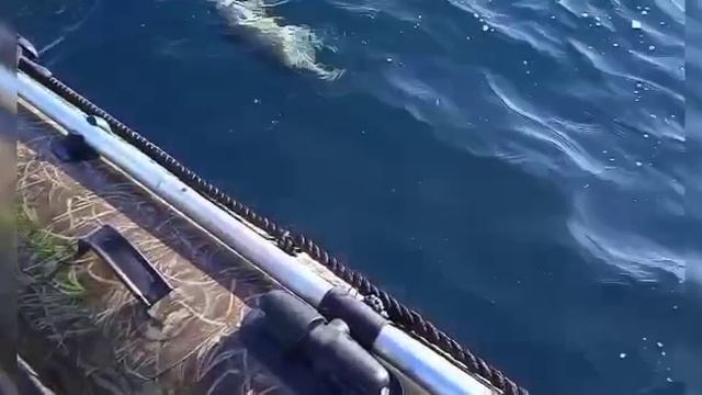 Рыбалка на Кольском полуострове.