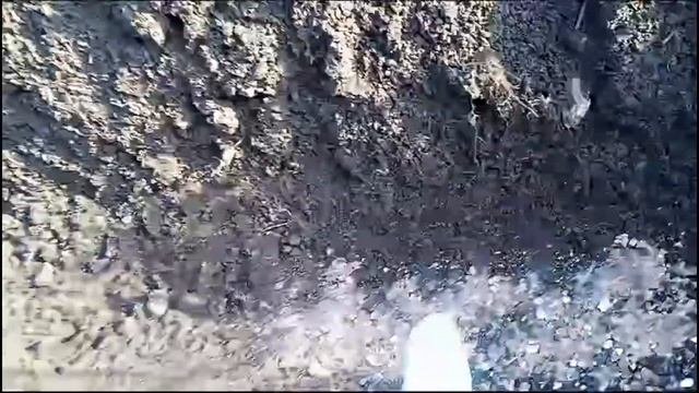 как получить двойной урожай чеснока с одной грядки