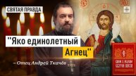 "Яко единолетный Агнец": Почему в Пасхальном каноне Христа называют Ягнёнком — отец Андрей Ткачёв