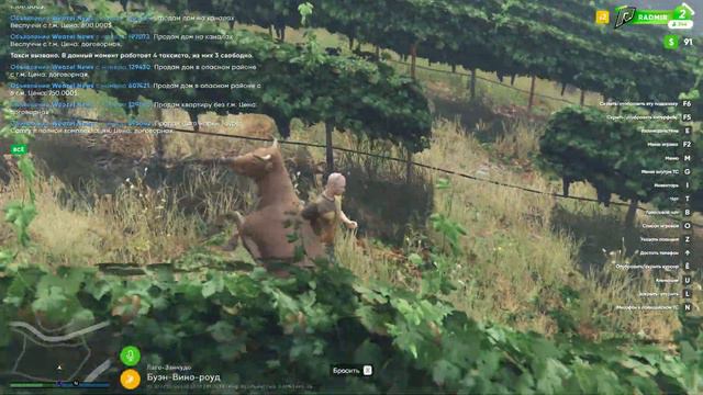 ОХОТА НА ЗВЕРЕЙ В GTA 5 RP / RADMIR RP