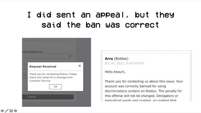 Roblox Terminated my Account for Saying Gay?