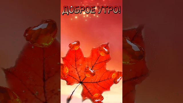 ДОБРОЕ УТРО!