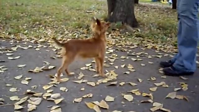 ГАРМОНИЯ ДУШИ И ЧУВСТВ( ПОЦЕЛУЙЧИК Х БАНДА)