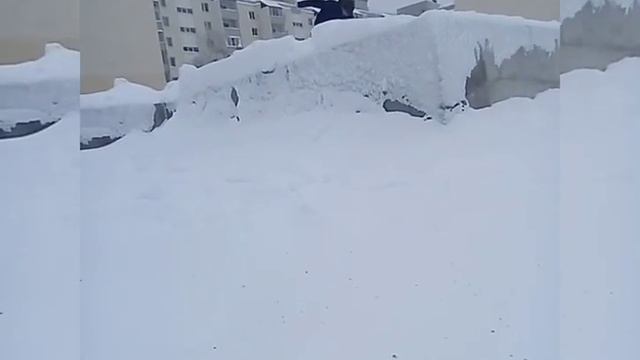 Сальто назад